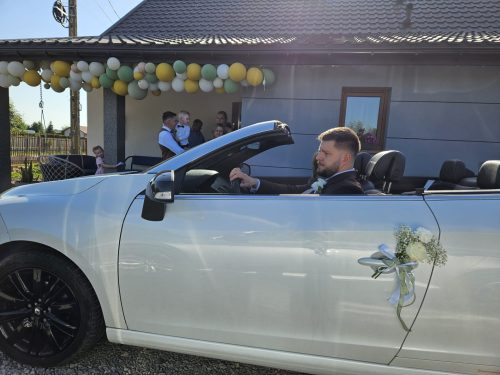 Zdjęcie z galerii