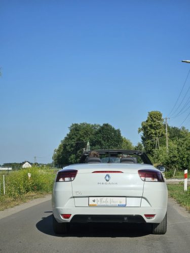 Zdjęcie z galerii
